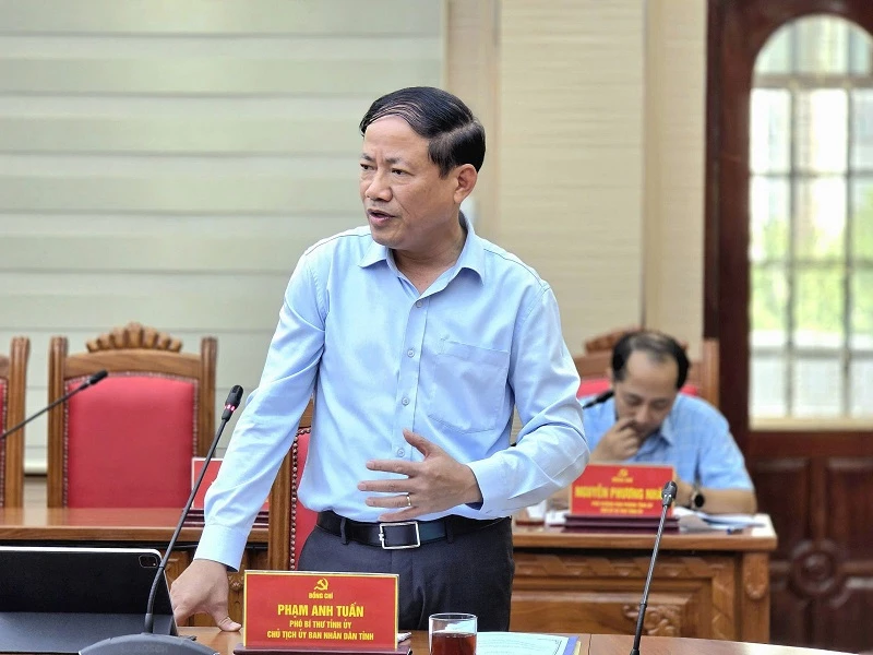 Chủ tịch UBND tỉnh Gia Lai Phạm Anh Tuấn phát biểu tại cuộc họp.