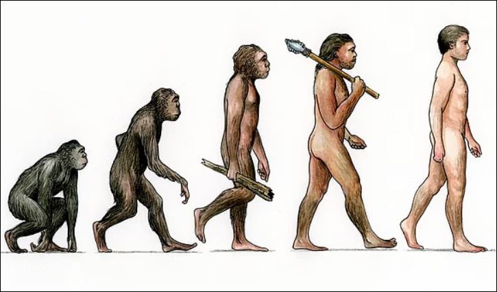 Các nhà khoa học nói gì về khả năng một loài linh trưởng tiến hóa thêm trí tuệ để trở thành người?