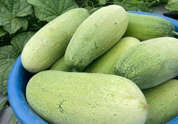 Loại quả từng bị lãng quên nay 'lên ngôi' đặc sản, giá bán 40.000 đồng/kg khiến dân thành phố săn lùng