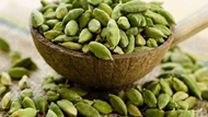 Loại quả được mệnh danh 'nữ hoàng gia vị', giá có thể lên tới 2 triệu đồng/kg, Việt Nam trồng rất nhiều
