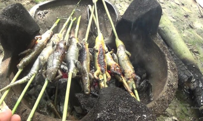 Từ món ăn kinh dị nay thành đặc sản, loài 'rắn 4 chân' miền Tây hút khách sành ăn