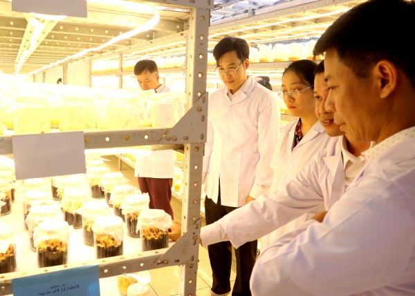 Doanh nghiệp cần đẩy mạnh ứng dụng khoa học công nghệ tăng sức cạnh tranh