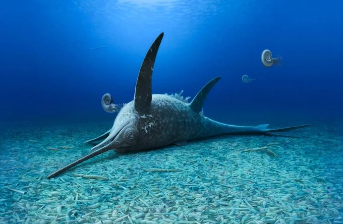 Ph&#xE1;t hi&#x1EC7;n qu&#xE1;i v&#x1EAD;t bi&#x1EC3;n 180 tri&#x1EC7;u n&#x103;m nguy&#xEA;n v&#x1EB9;n &#x111;&#x1EBF;n kh&#xF3; tin