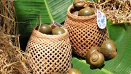 Ốc gác bếp: Từ món ăn cứu đói tới đặc sản vùng Tây Nam Bộ