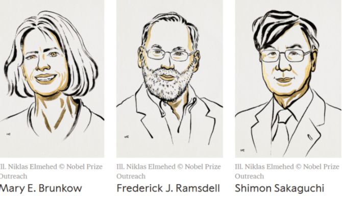 Giải Nobel Y Sinh 2025 mở ra kỷ nguyên mới cho ngành Miễn dịch học