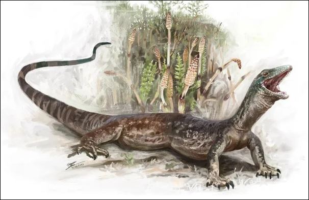 Lộ diện 'quái vật' 167 triệu năm tuổi, bí ẩn tiến hóa nửa rắn, nửa thằn lằn trên đảo Skye