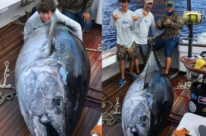 Cậu bé 14 tuổi câu được con cá ngừ nặng 379kg, giá 626 triệu đồng