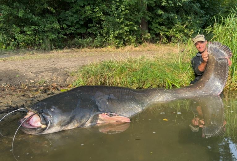 Câu được 'thủy quái' dài 2,72 mét, cần thủ 43 tuổi phá kỷ lục chưa từng có
