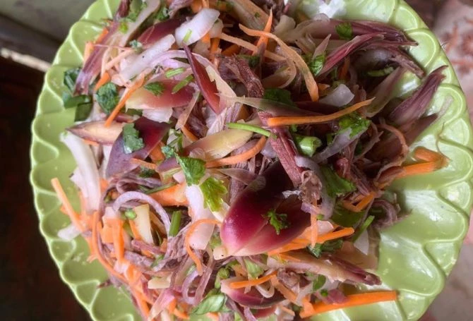 Loài rau rừng ít người ăn ở Việt Nam lại là "nhân sâm" bên Nhật Loài rau rừng ít người ăn ở Việt Nam lại là "nhân sâm" bên Nhật