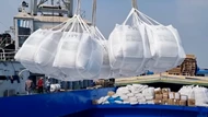 Cấm ủy thác xuất khẩu gạo khiến doanh nghiệp nhỏ khó tìm thị trường