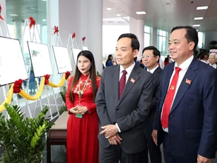 Cà Mau hội đủ lợi thế trở thành cực tăng trưởng xanh của Việt Nam