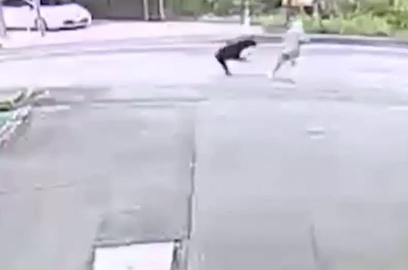 Cụ bà 82 tuổi bị gấu dữ tấn công giữa đường, phản ứng khiến ai nấy kinh ngạc