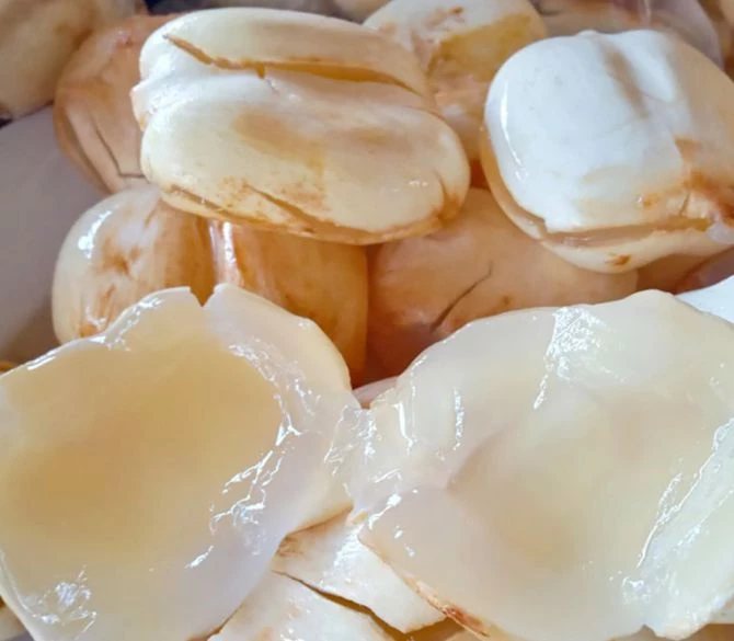 Quả thốt nốt với phần cơm trắng deo. Quả thốt nốt với phần cơm trắng deo.