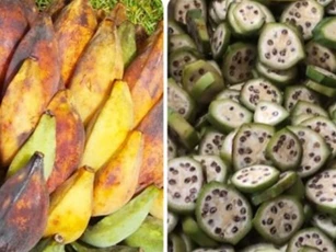 Quả cây 'thần dược' từng bị ngó lơ nay thành đặc sản giá trăm nghìn đồng/kg