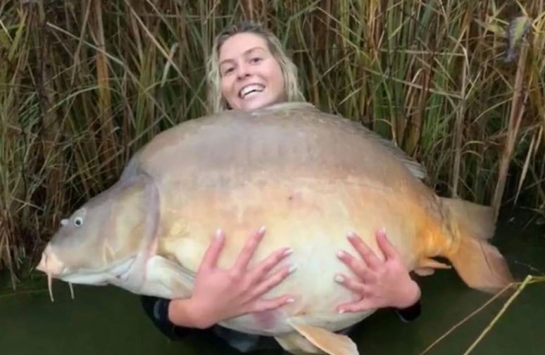 Câu cá giải trí, nữ cần thủ bất ngờ kéo lên con cá chép nặng 41kg