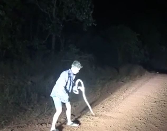 Dùng tay không bắt rắn giữa đường, nam thanh niên phải ‘trả giá đắt’ chỉ sau vài giây