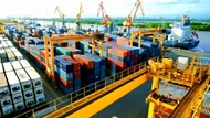 Gần 60% doanh nghiệp xuất khẩu sang EU còn 'mơ hồ' về thẩm định chuỗi cung ứng