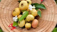 Đặc sản miền Tây khi chín thơm cả ngõ, giờ gần như vắng bóng