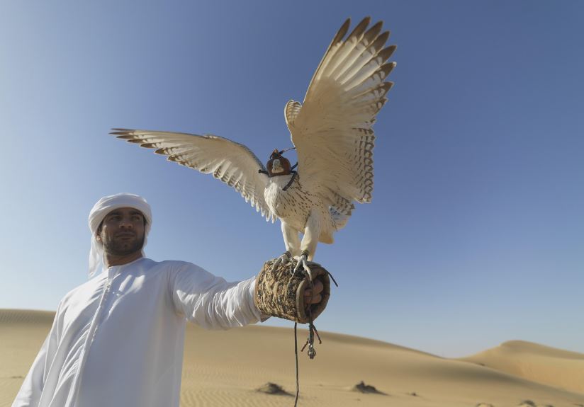 'Báu vật sống' của giới thượng lưu Trung Đông: Giá hàng trăm nghìn đô, được cấp hộ chiếu và bay khoang hạng nhất