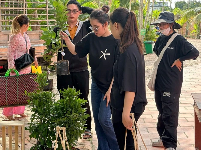 +ảnh 3: Các bạn Tiktoker đang chuẩn bị livestream bán cây giống cho nhà vườn ở Chợ Lách (Vĩnh Long). +ảnh 3: Các bạn Tiktoker đang chuẩn bị livestream bán cây giống cho nhà vườn ở Chợ Lách (Vĩnh Long).