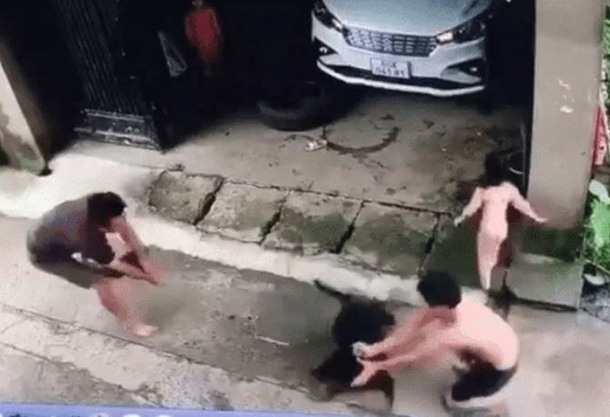 Bé gái bị chó lao vào tấn công, người đàn ông liều lĩnh lấy thân mình che chắn