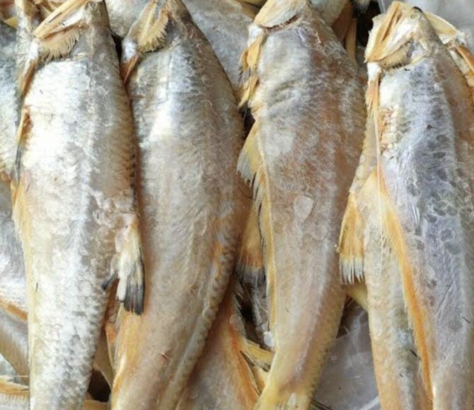 Loại cá xưa cho người nghèo, nay thành đặc sản với giá 150.000 đồng/kg