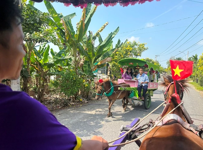 +ảnh 1: Du khách trải nghiệm đi xe ngựa ngắm cảnh đẹp ở cù lao Thới Sơn. +ảnh 1: Du khách trải nghiệm đi xe ngựa ngắm cảnh đẹp ở cù lao Thới Sơn.