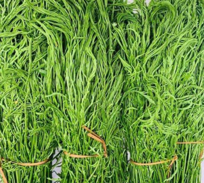 &#x110;&#x1EB7;c s&#x1EA3;n n&#xFA;i r&#x1EEB;ng T&#xE2;y B&#x1EAF;c &#x2018;b&#x1ED1;c m&#xF9;i&#x2019; nh&#x1B0;ng g&#xE2;y nghi&#x1EC7;n