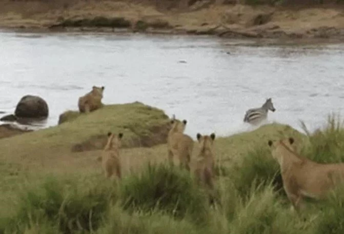 Ảnh cắt từ clip.