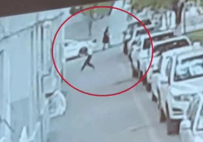 Ảnh cắt từ clip.