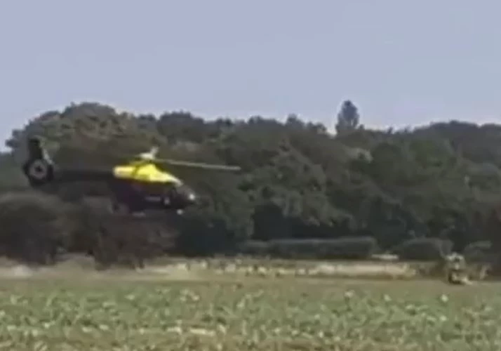 Ảnh cắt từ clip.