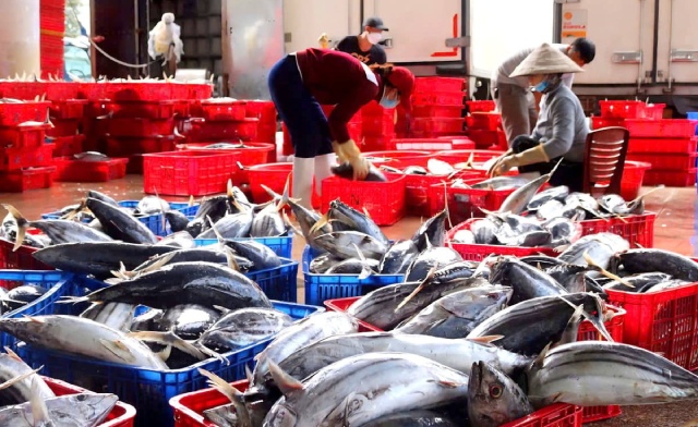 Th&#xE1;ch th&#x1EE9;c ng&#xE0;nh c&#xE1; ng&#x1EEB; tr&#x1B0;&#x1EDB;c c&#x1A1; h&#x1ED9;i mi&#x1EC5;n thu&#x1EBF; v&#xE0;o M&#x1EF9;