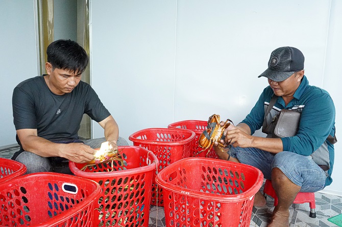 Nhi&#x1EC1;u chuy&#xEA;n gia n&#x1B0;&#x1EDB;c ngo&#xE0;i s&#x1EBD; d&#x1EF1; h&#x1ED9;i th&#x1EA3;o cua t&#x1EA1;i C&#xE0; Mau