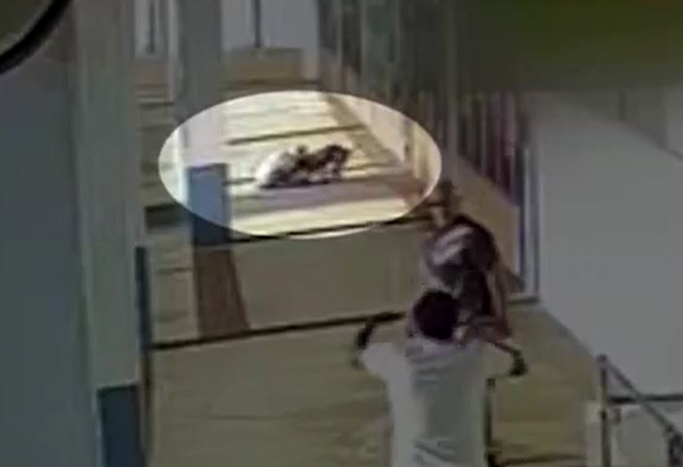 Bị Pitbull tấn công mà không ai giúp, cụ bà 69 tuổi cắn trả con chó để thoát thân