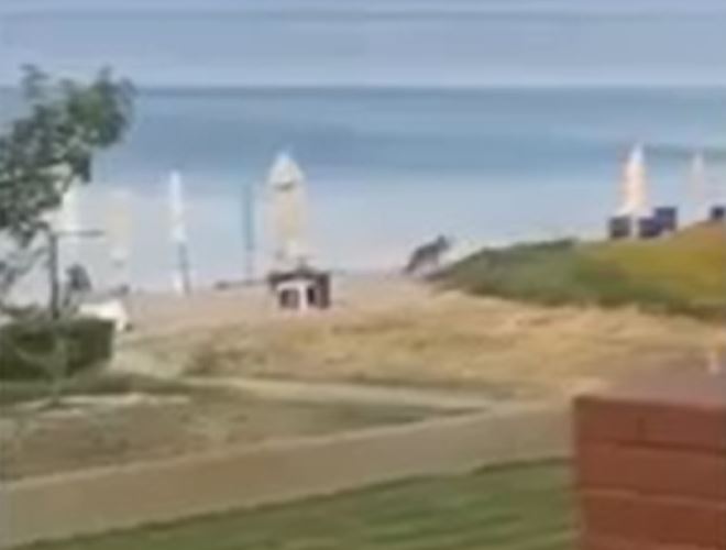 Bé gái 5 tuổi bị sói tấn công giữa khu nghỉ dưỡng nổi tiếng, mẹ liều mình xua đuổi cứu con