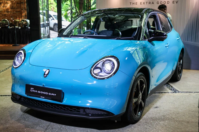 Ora Good Cat 2026. Ora Good Cat 2026.