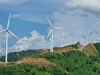 Cụm doanh nghiệp điện gió tại Quảng Trị lo bị phá sản