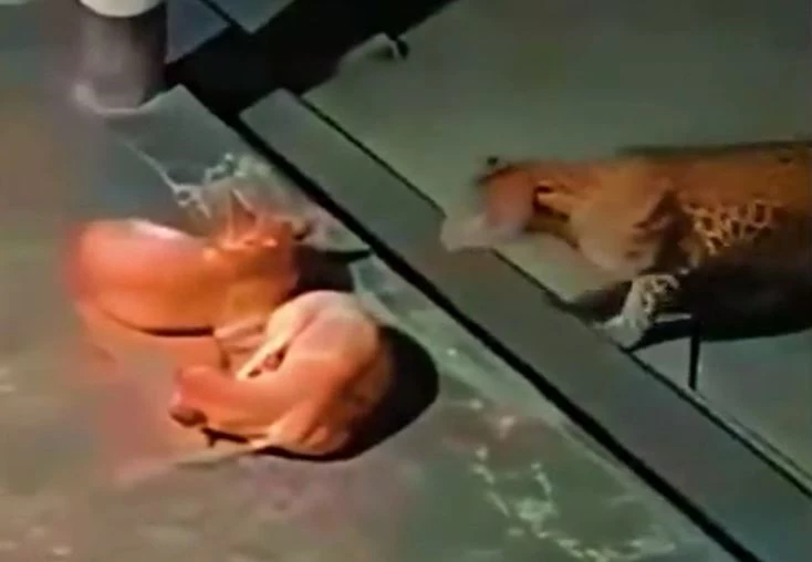 Ảnh cắt từ clip.