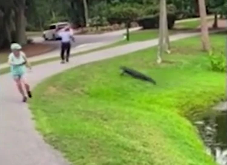 Ảnh cắt từ clip.