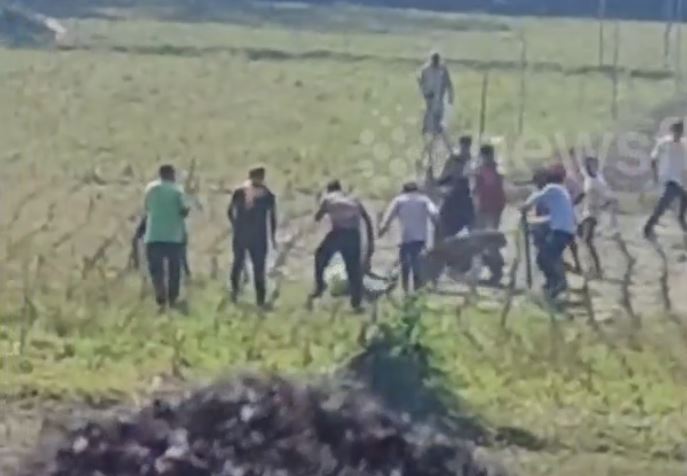 Đang làm đồng bị báo hoa mai tấn công, người dân dùng gậy gộc tự vệ và cái kết