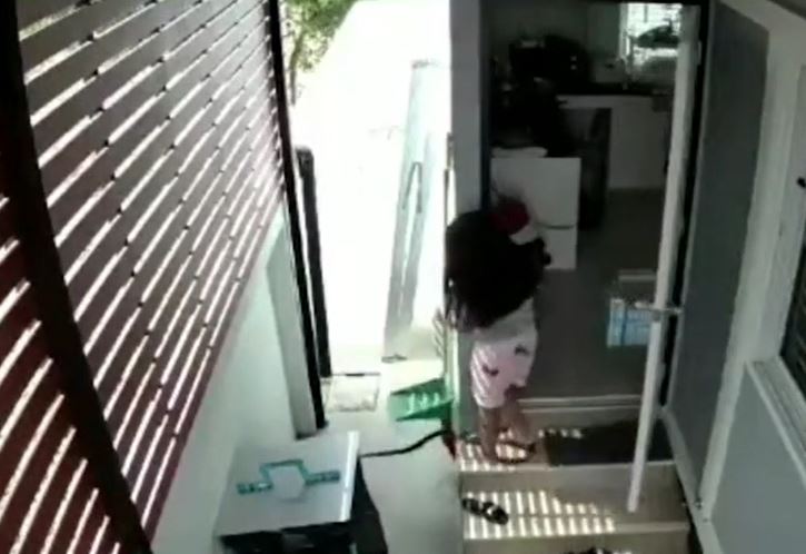 Bé gái suýt giẫm trúng rắn hổ mang, pha thoát hiểm khiến ai cũng thót tim