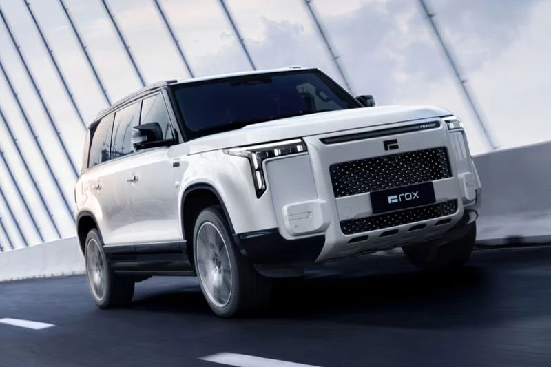 Polestones Adamas EREV.