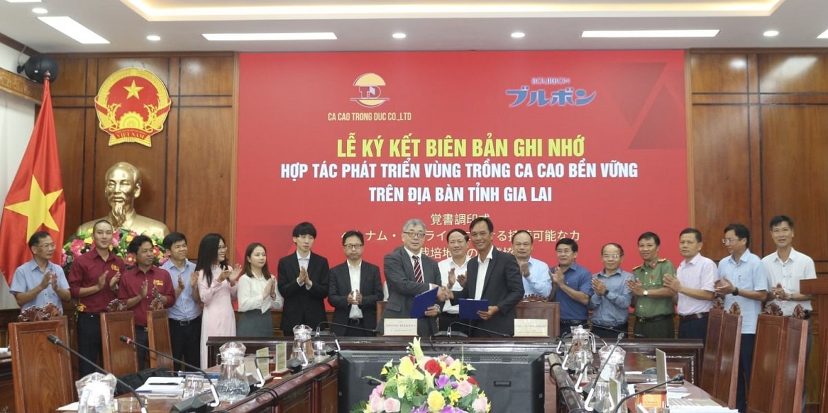 Tập đoàn Nhật Bản liên kết mở rộng vùng nguyên liệu ca cao tại Gia Lai