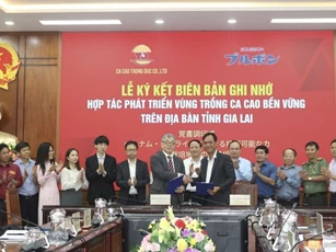 Tập đoàn Nhật Bản liên kết mở rộng vùng nguyên liệu ca cao tại Gia Lai