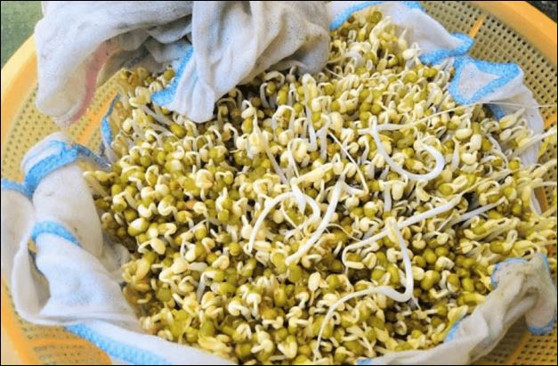 Hướng dẫn làm giá đỗ bằng rổ nhựa tại nhà, vừa dễ lại cực sạch