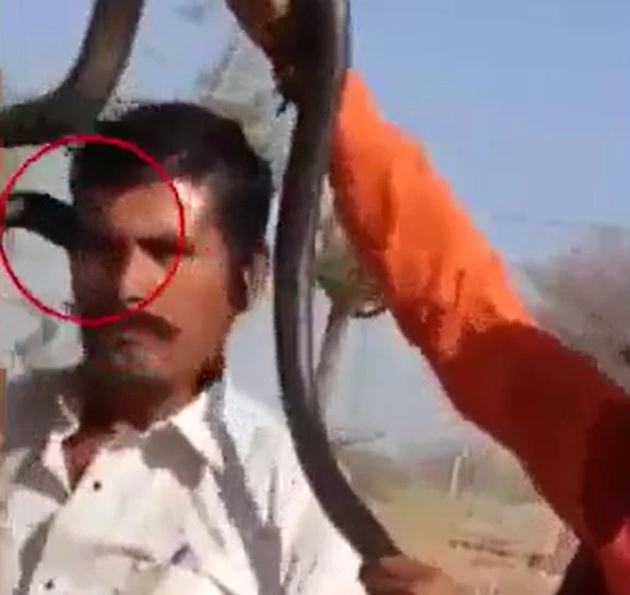 Ảnh cắt từ clip.