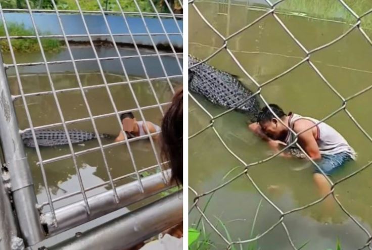 Tưởng cá sấu là tượng, nam thanh niên leo rào vào selfie rồi nhận ngay bài học nhớ đời