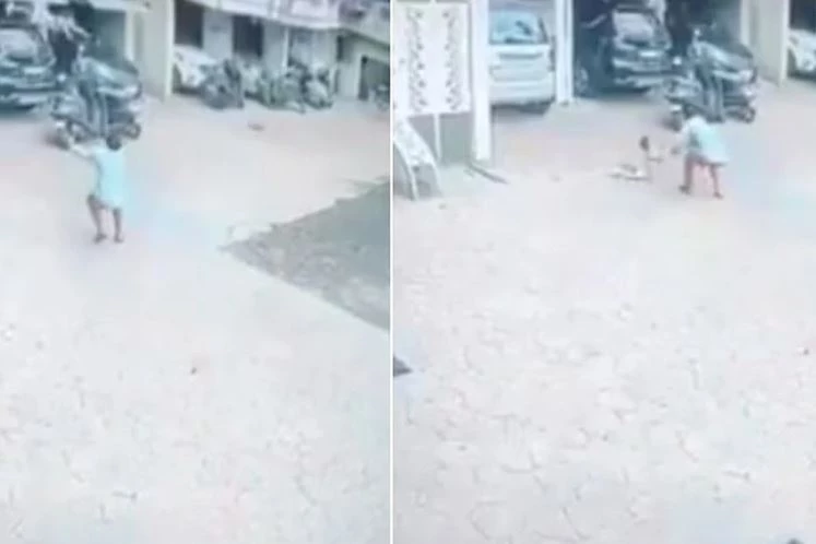 Ảnh cắt từ clip.