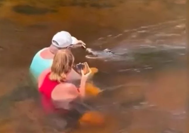 Ảnh cắt từ clip.