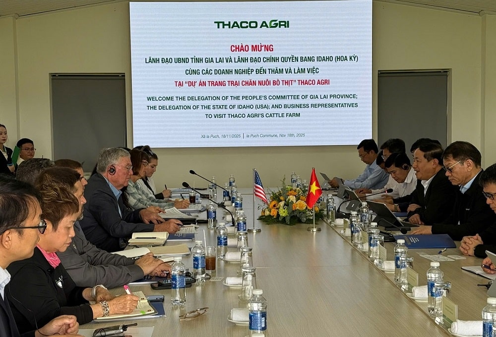 ‘Thủ phủ’ ngành chăn nuôi Mỹ tìm cơ hội đầu tư tại Gia Lai